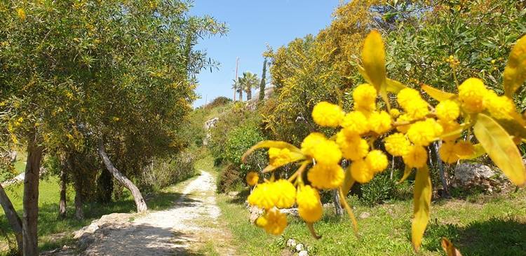 Die Natur auf Zypern genießen.