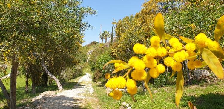 Urlaub auf Zypern machen Die Natur auf Zypern genießen.