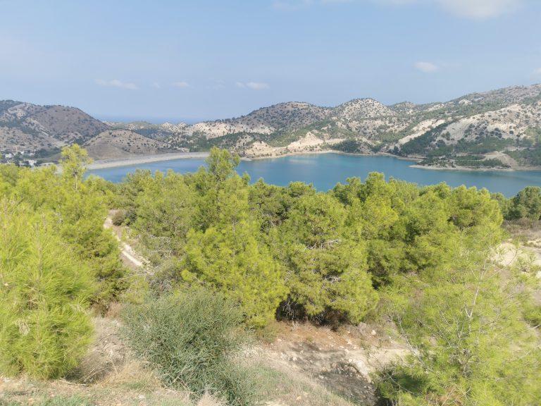 Entdecken Sie die Magie von Paphos: Ein umfassender Reiseführer zu Geschichte, Kultur und Natur