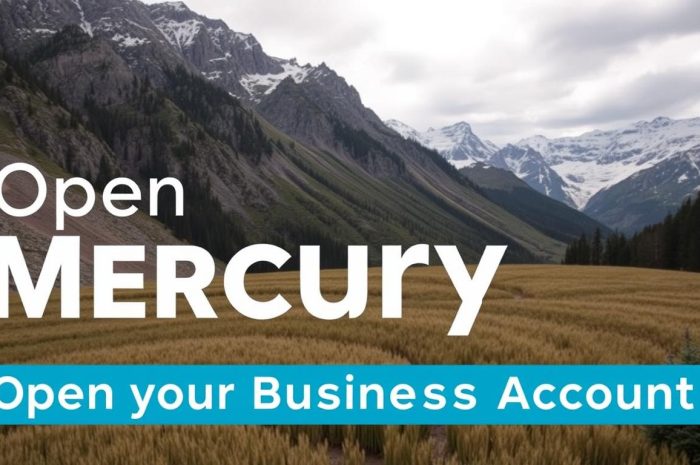 Mercury Business Konto – US-Neobank für Startups & Tech-Firmen