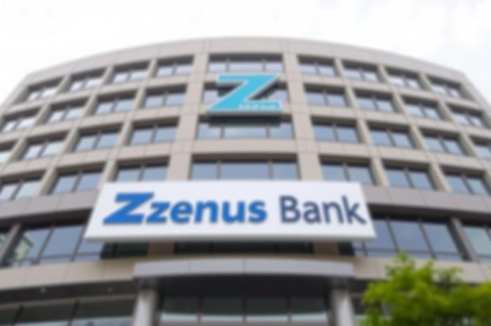 Zenus Bank Business Konto – USD-Konten für internationale Unternehmer