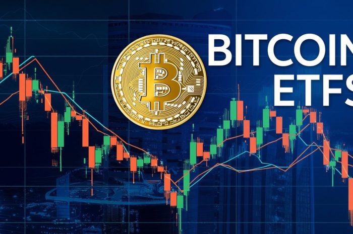Bitcoin-ETFs erleben massiven Abfluss – Marktrückzug oder neue Chance für Langfrist-Investoren?