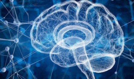 ZKP als Vertrauensbrücke für die KI der Zukunft