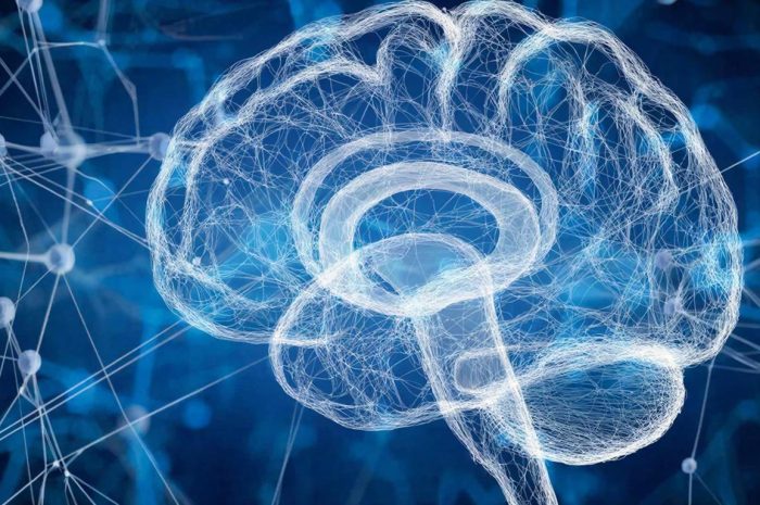 ZKP – das Fundament für vertrauenswürdige KI? Warum Nullwissenbeweise zur Schlüsseltechnologie für Identität und Datenschutz werden