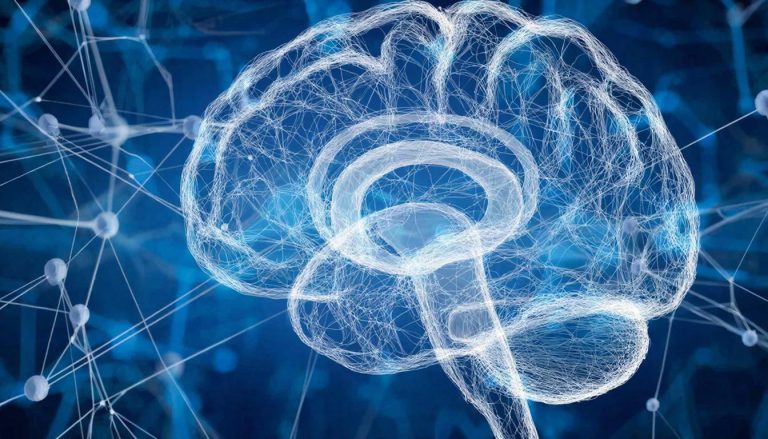 ZKP als Vertrauensbrücke für die KI der Zukunft