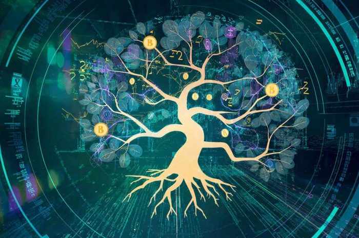 Solana vor Deflationsschub – Großinvestor DFDV befürwortet neue Tokenomics