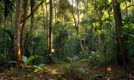 ae61c9a8 7447 4654 b591 5271fbcb84b6