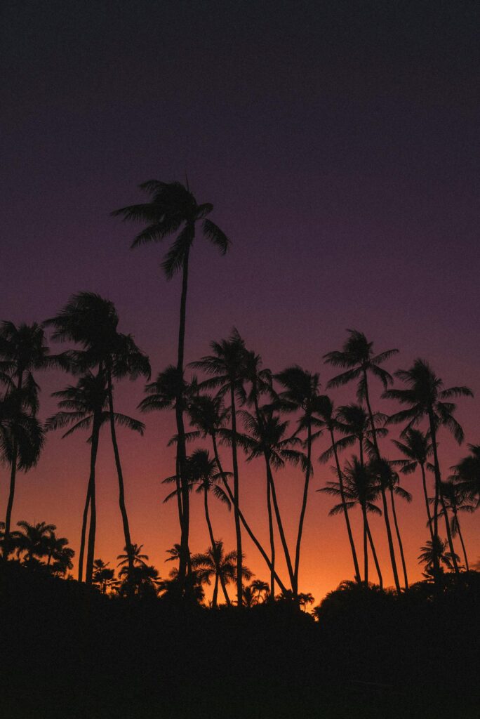 Capture the serene beauty of a Hawaiian sunset with silhouetted palm trees against a vivid sky.