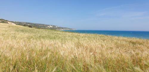 Natur in Paphos