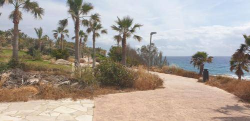 Promenade in Paphos