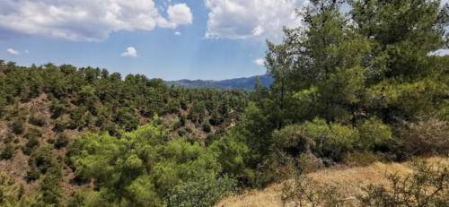 Trodos Zypern - faszinierende Berglandschaft 25