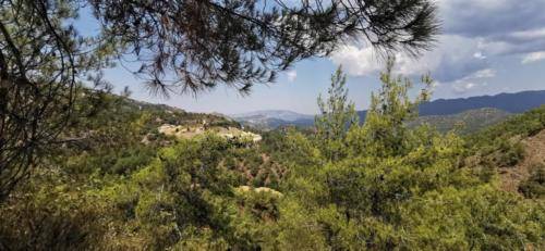 Trodos Zypern - faszinierende Berglandschaft 27