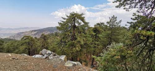 Trodos Zypern - faszinierende Berglandschaft 16