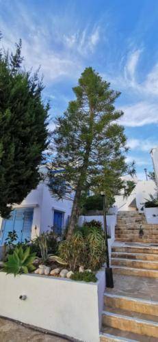 Ikaria Village unter den Blauen Himmel in Paphos