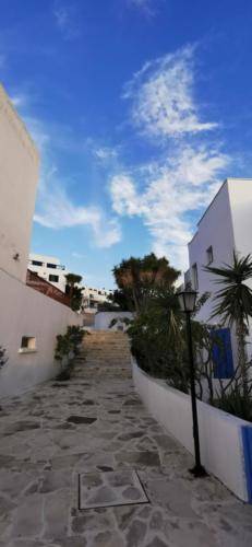 Auswandern auf Zypern und Leben auf eine Insel - Ikaria Village